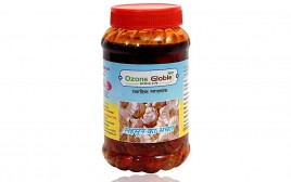 Ozone Globle Lahsun Ka Achar   Plastic Jar  400 grams